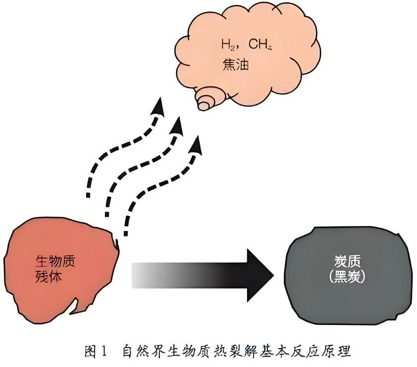 气相色谱仪在生物质热解催化反应评价分析的作用